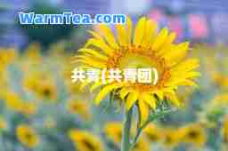 共青(共青团)