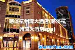 慈溪杭州湾大酒店(慈溪杭州湾大酒店spa)