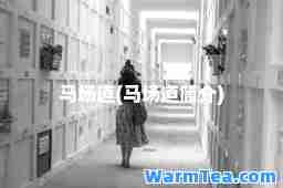 马场道(马场道简介)
