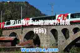 罗山路(罗山路高架外牌限行吗)