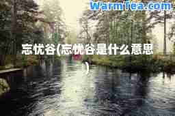 忘忧谷(忘忧谷是什么意思)
