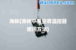 海林(海林中央空调温控器使用方法)