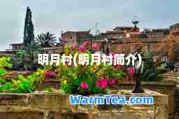 明月村(明月村简介)