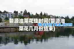 婺源油菜花佳时间(婺源油菜花几月份结束)