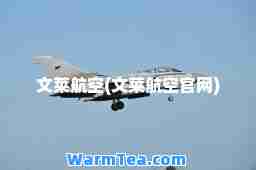 文莱航空(文莱航空官网)