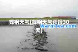 舞钢天气(舞钢天气预报30天)