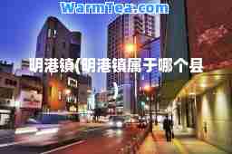 明港镇(明港镇属于哪个县)