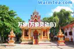 万象(万象灵动岛)