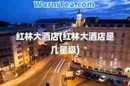 红林大酒店(红林大酒店是几星级)