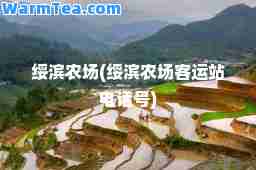 绥滨农场(绥滨农场客运站电话号)