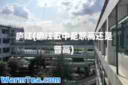 庐江(庐江五中是职高还是普高)