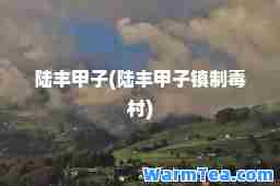 陆丰甲子(陆丰甲子镇制毒村)