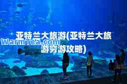 亚特兰大旅游(亚特兰大旅游穷游攻略)