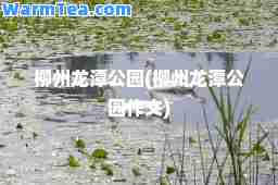 柳州龙潭公园(柳州龙潭公园作文)