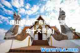佛山景点(广东佛山旅游必去十大景点)
