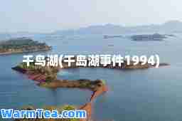 千鸟湖(千岛湖事件1994)