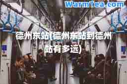 德州东站(德州东站到德州站有多远)