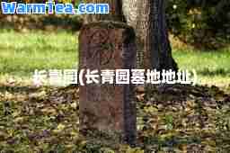 长青园(长青园墓地地址)