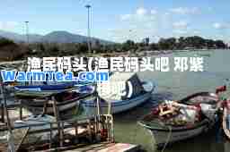 渔民码头(渔民码头吧 邓紫棋吧)