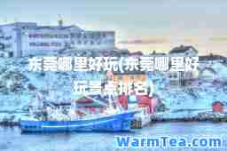 东莞哪里好玩(东莞哪里好玩景点排名)