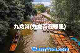 九龙沟(九龙沟在哪里)