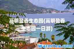 高明盈香生态园(高明盈香生态园一日游)