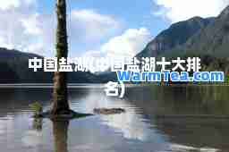 中国盐湖(中国盐湖十大排名)