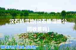 汉石桥湿地(汉石桥湿地公园收费吗)