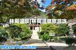 林甸温泉(林甸温泉旅游攻略)