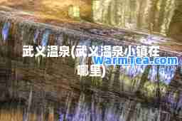 武义温泉(武义温泉小镇在哪里)