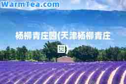 杨柳青庄园(天津杨柳青庄园)