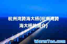 杭州湾跨海大桥(杭州湾跨海大桥的简介)