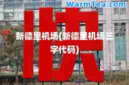 新德里机场(新德里机场三字代码)