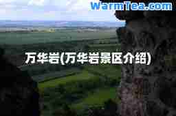 万华岩(万华岩景区介绍)