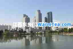 江西东乡(江西东乡区)