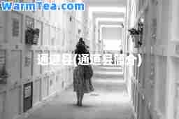 通道县(通道县简介)