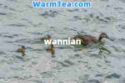 wannian