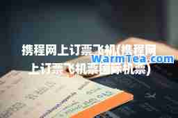 携程网上订票飞机(携程网上订票飞机票机票)