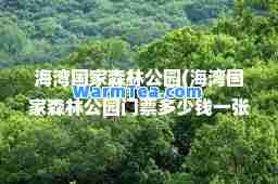 海湾国家森林公园(海湾国家森林公园门票多少钱一张)