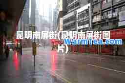 昆明南屏街(昆明南屏街图片)