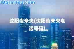 沈阳夜未央(沈阳夜未央电话号码)