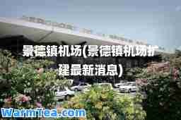景德镇机场(景德镇机场扩建消息)