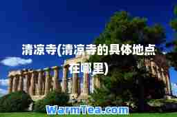 清凉寺(清凉寺的具体地点在哪里)
