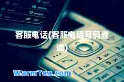 客服电话(客服电话号码查询)