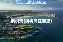 枫树湾(枫树湾在哪里)