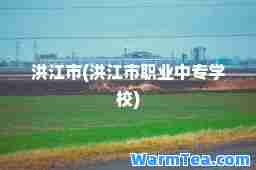 洪江市(洪江市职业中专学校)