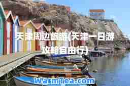 天津周边旅游(天津一日游攻略自由行)
