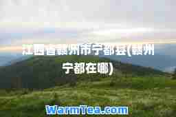 江西省赣州市宁都县(赣州宁都在哪)