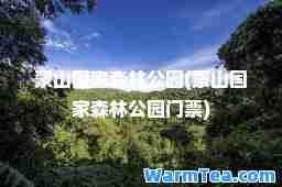 蒙山国家森林公园(蒙山国家森林公园门票)