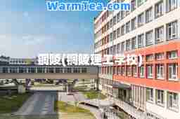铜陵(铜陵理工学校)